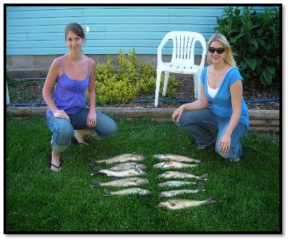 Click HERE to View Photos of Walleye Guide Trips! Click HERE to View Photos of Walleye Guide Trips!