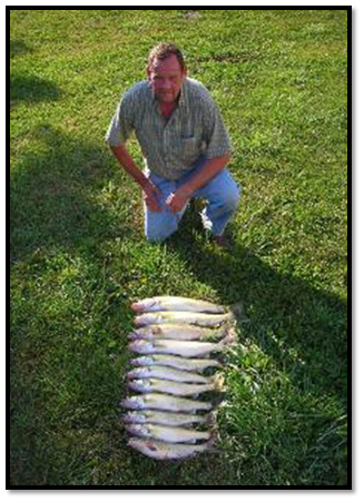Our Experienced Captain Will Help You Catch As MANY Walleyes As The Legal Limit Allows! Our Experienced Captain Will Help You Catch As MANY Walleyes As The Legal Limit Allows!