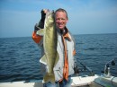 24.5 inch
